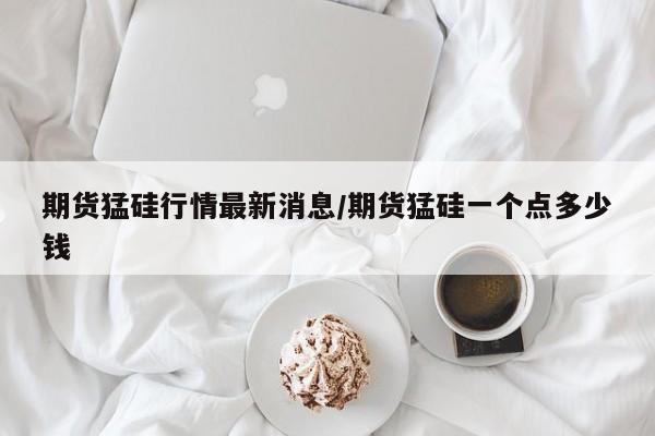 期货猛硅行情最新消息/期货猛硅一个点多少钱