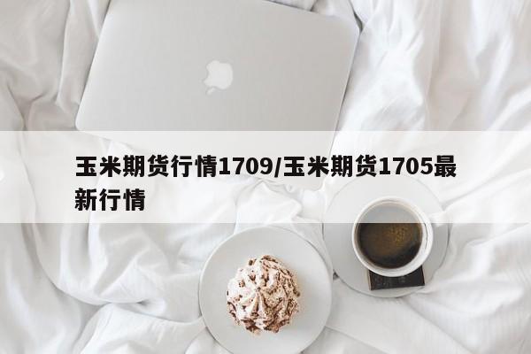 玉米期货行情1709/玉米期货1705最新行情