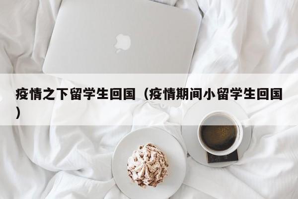疫情之下留学生回国(疫情期间小留学生回国)