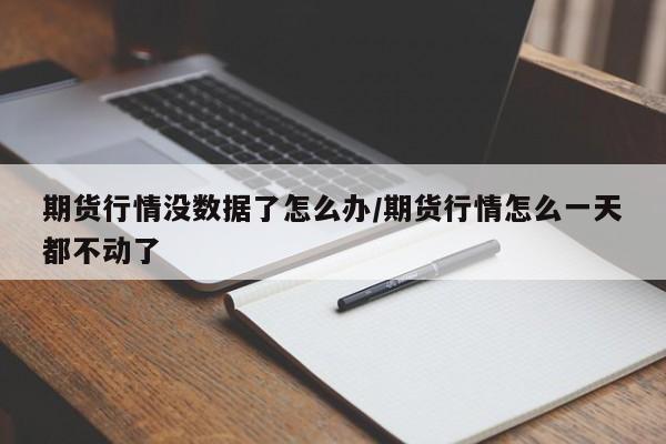 期货行情没数据了怎么办/期货行情怎么一天都不动了