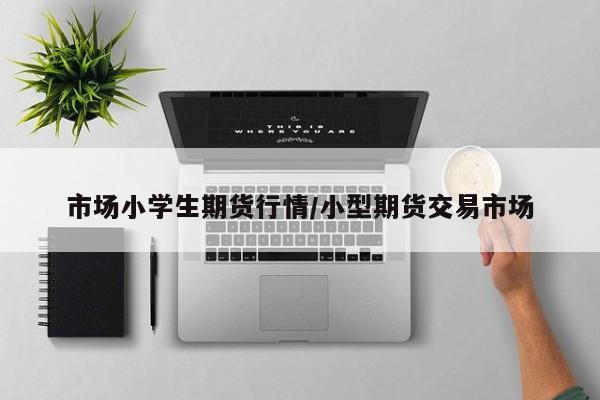 市场小学生期货行情/小型期货交易市场