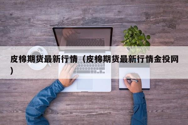 皮棉期货最新行情(皮棉期货最新行情金投网)