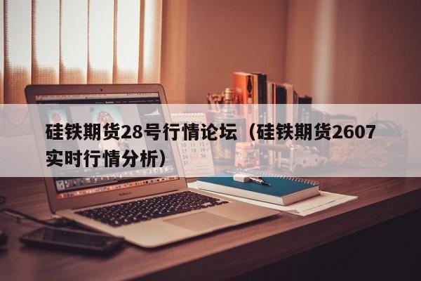 硅铁期货28号行情论坛(硅铁期货2607实时行情分析)