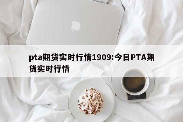 pta期货实时行情1909:今日PTA期货实时行情