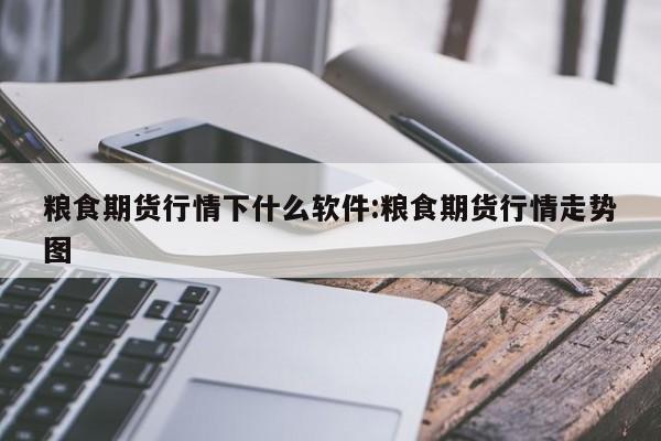 粮食期货行情下什么软件:粮食期货行情走势图