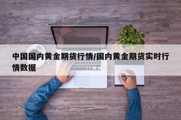 中国国内黄金期货行情/国内黄金期货实时行情数据